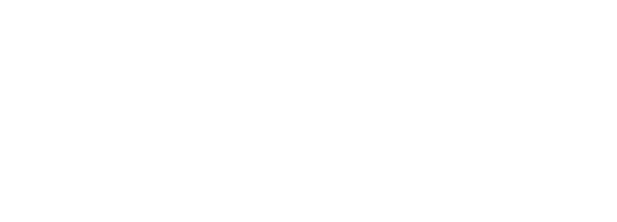 The Appraisal Group